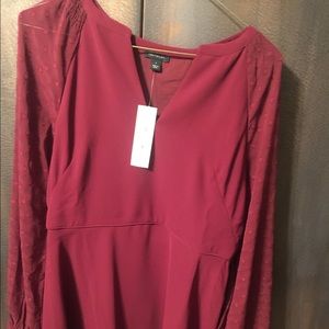 Ann Taylor fit and flare burgundy sheer